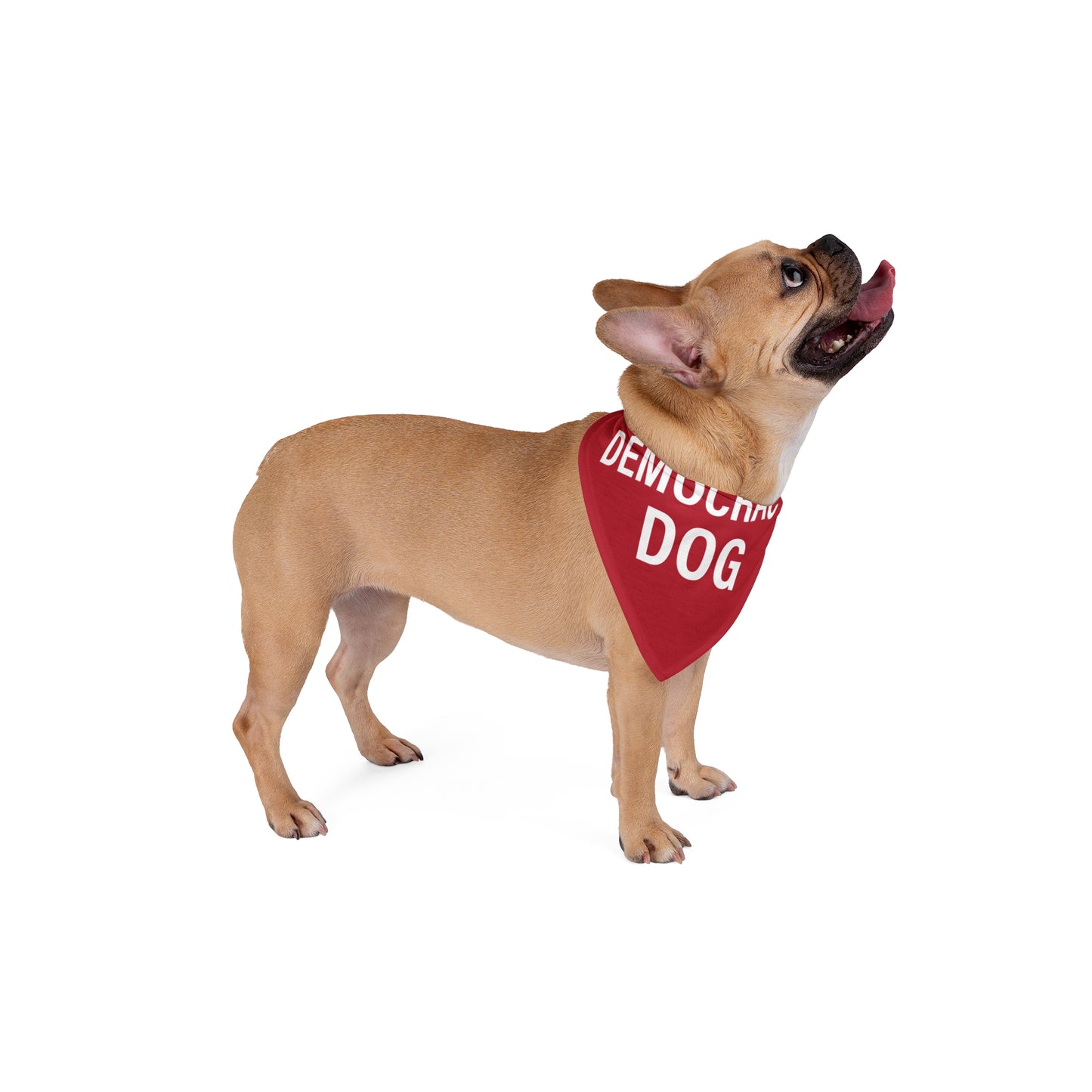 Democracy Dog Pet Bandana — Red Political Statement Bandana for Dogs