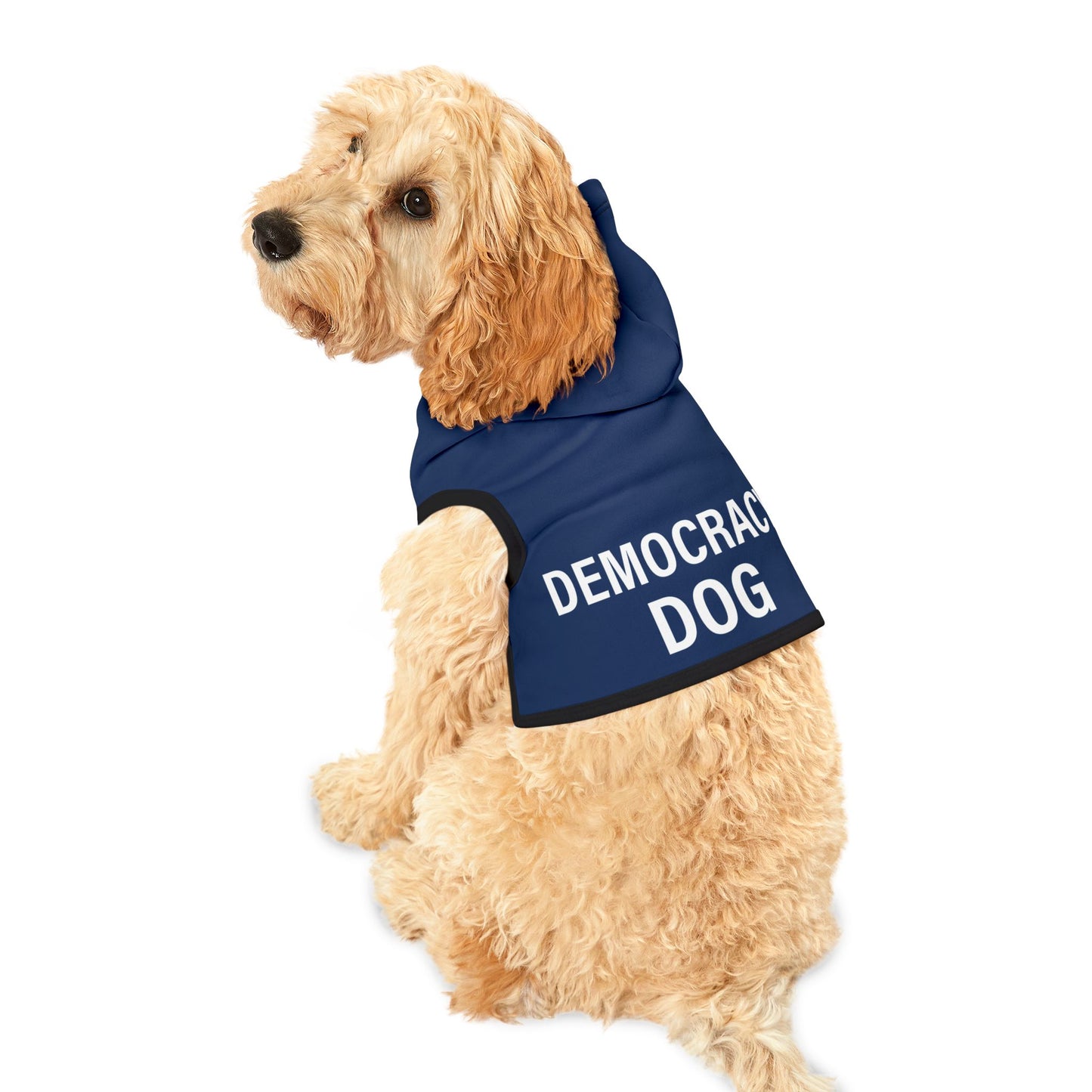 Democracy Dog Pet Hoodie – Political Statement Cozy Pullover for Dogs