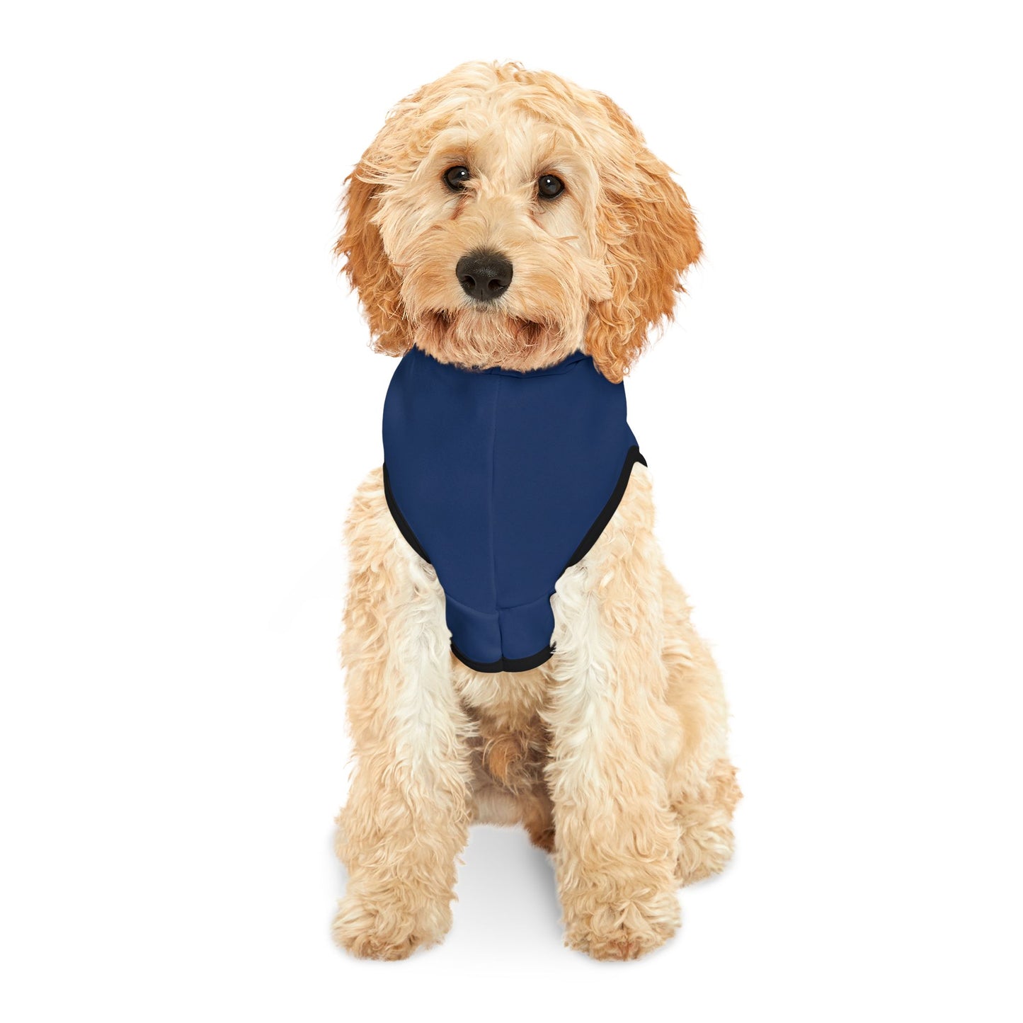 Democracy Dog Pet Hoodie – Political Statement Cozy Pullover for Dogs