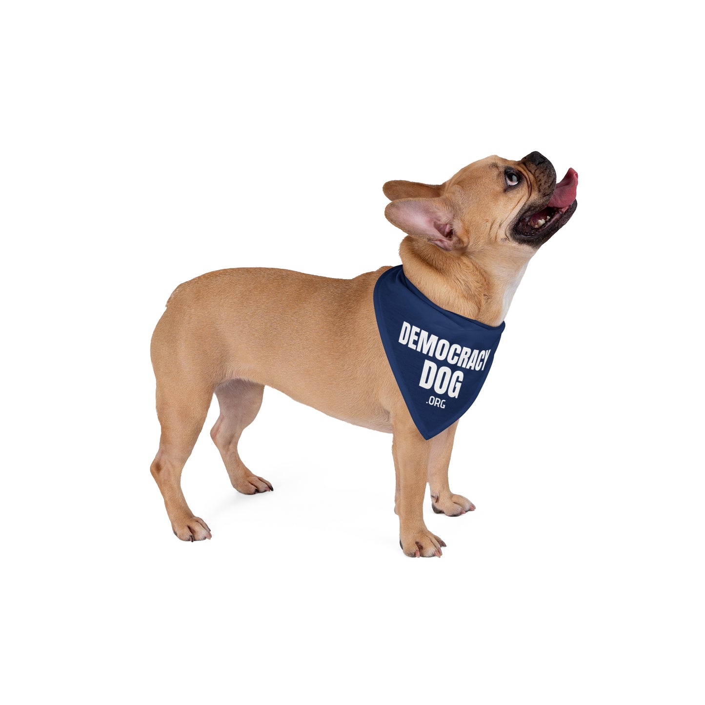 Democracy Dog Pet Bandana — Patriotic Blue Dog Bandana with 'DEMOCRACY DOG' Text