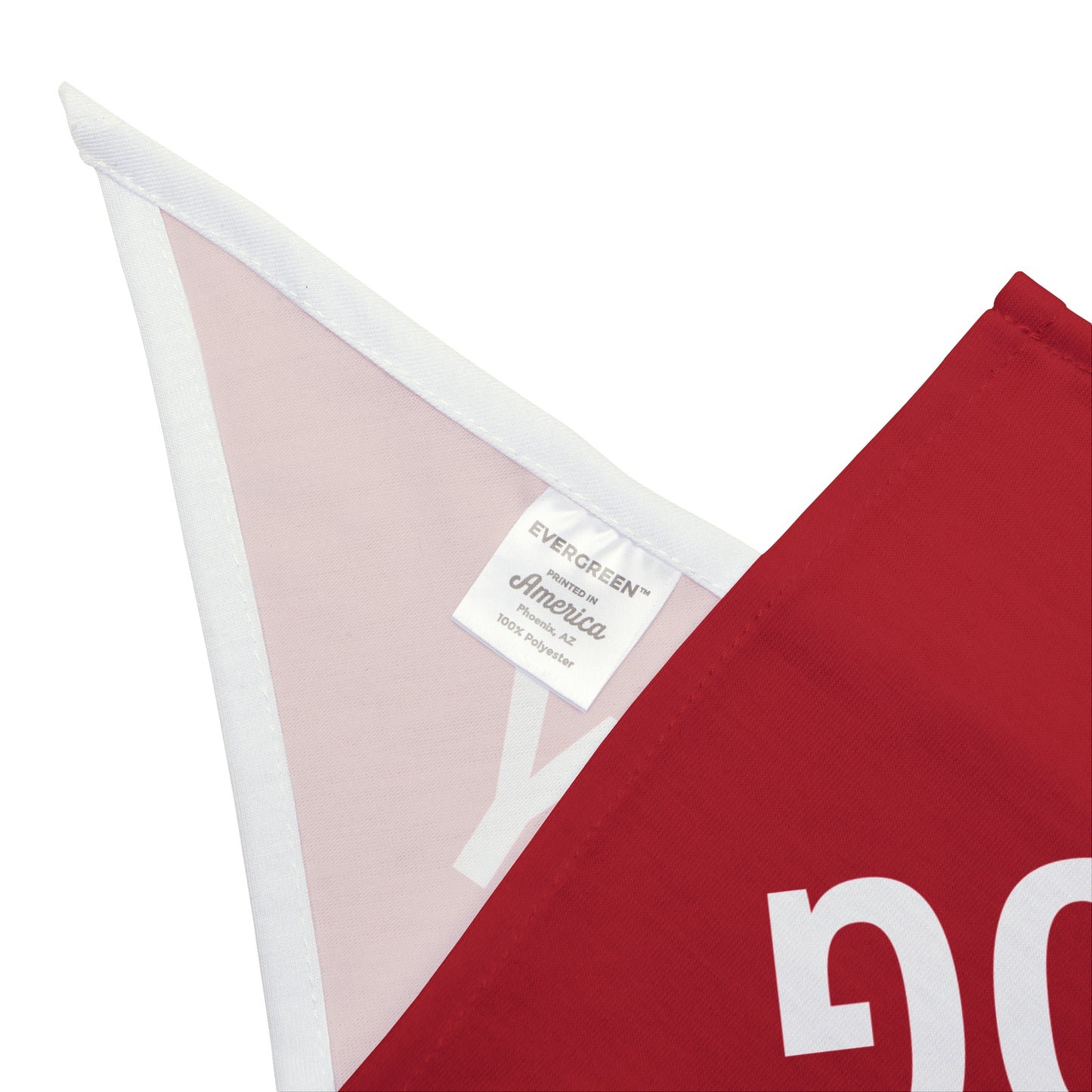 Democracy Dog Pet Bandana — Red Political Statement Bandana for Dogs