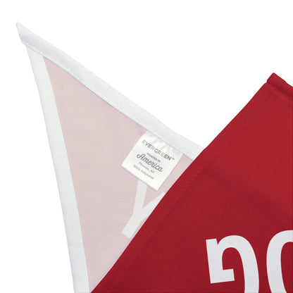 Democracy Dog Pet Bandana — Red Political Statement Bandana for Dogs