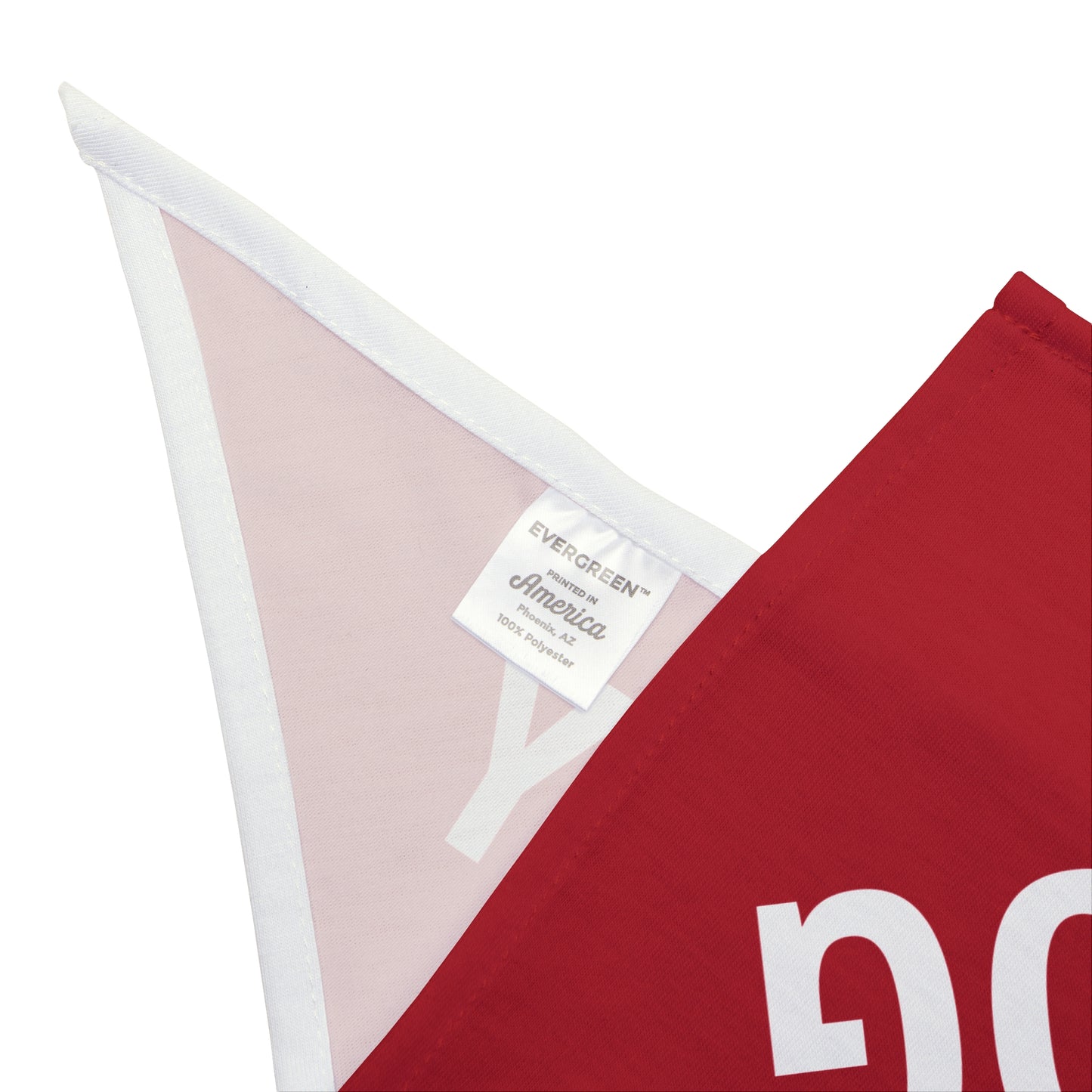 Democracy Dog Pet Bandana — Red Political Statement Bandana for Dogs