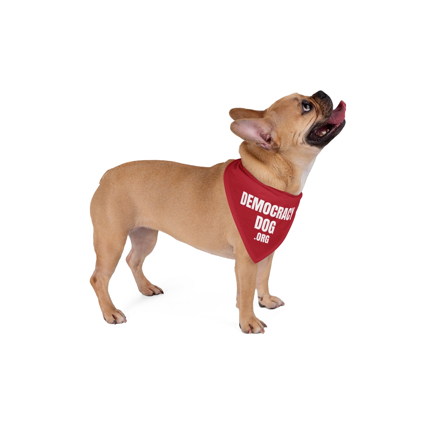 Democracy Dog Pet Bandana — Red Political Statement Bandana for Dogs